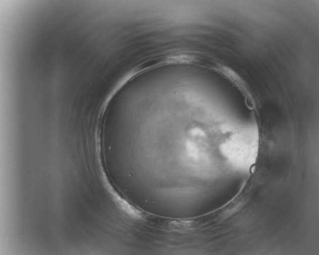 X0000064040859200602031556