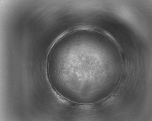 X0000064040861200602031556