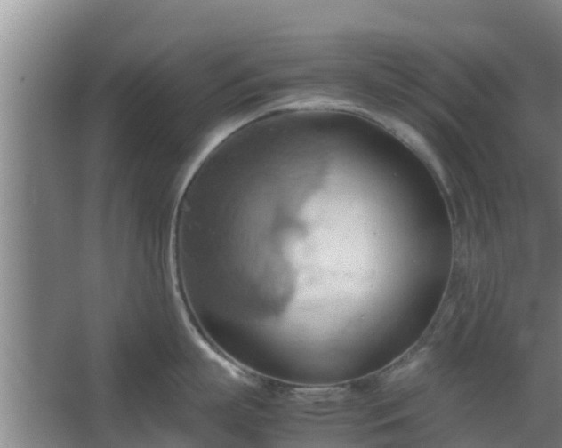 X0000064040863200602031556