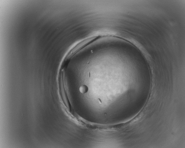 X0000064040864200602031556