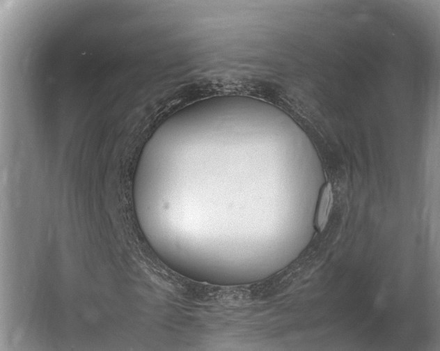 X0000064040865200602031555