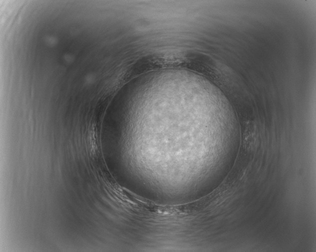 X0000064040866200602031555