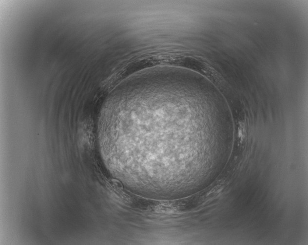 X0000064040867200602031555