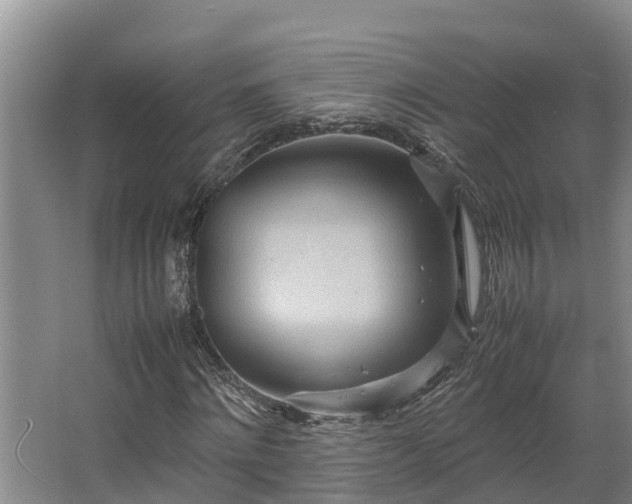 X0000064040868200602031555