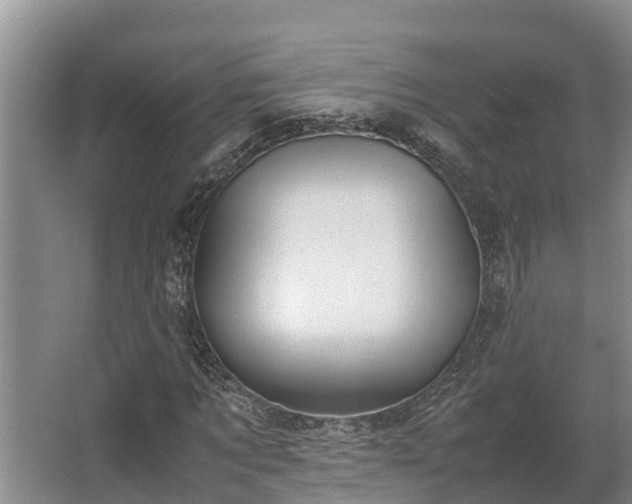 X0000064040869200602031555