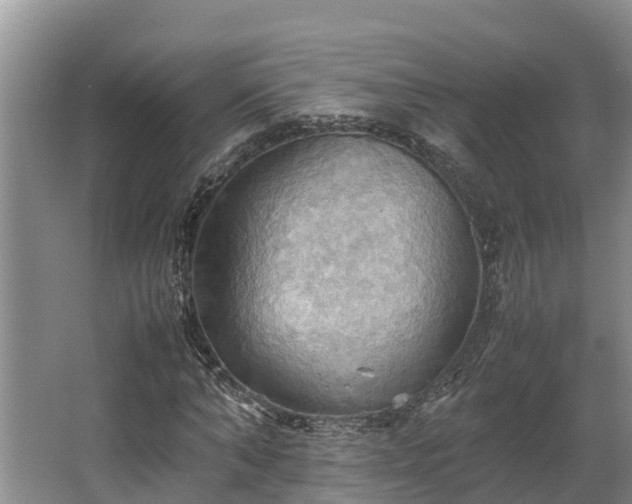 X0000064040870200602031555