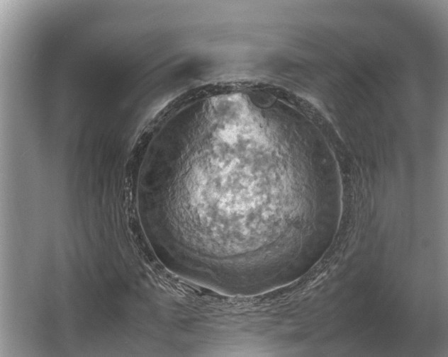 X0000064040871200602031555