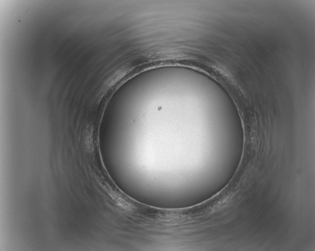 X0000064040873200602031555