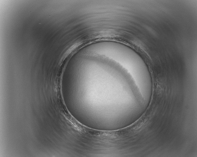 X0000064040874200602031555