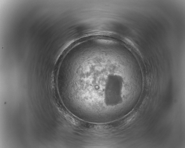 X0000064040875200602031555