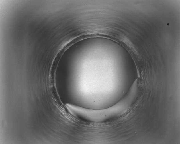 X0000064040876200602031555