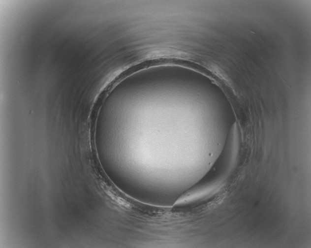 X0000064040877200602031555