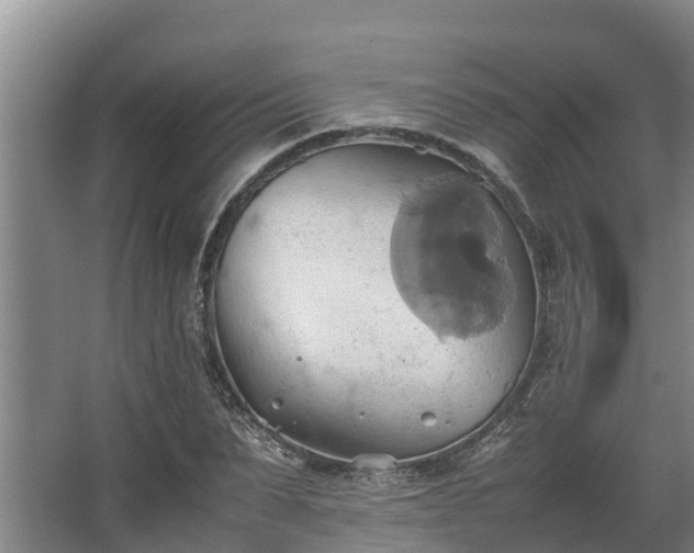 X0000064040879200602031555