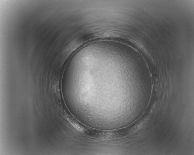 X0000064040881200602031555