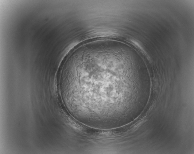 X0000064040883200602031555