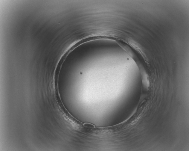 X0000064040884200602031555