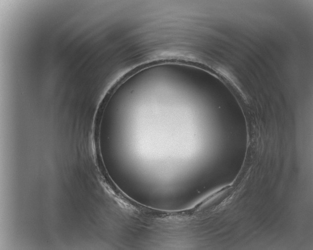 X0000064040888200602031554