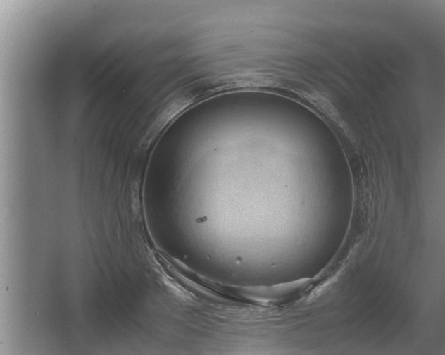 X0000064040889200602031554