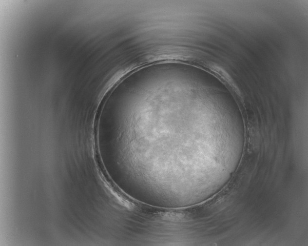 X0000064040890200602031554