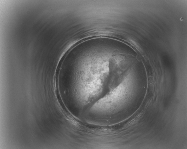 X0000064040891200602031554