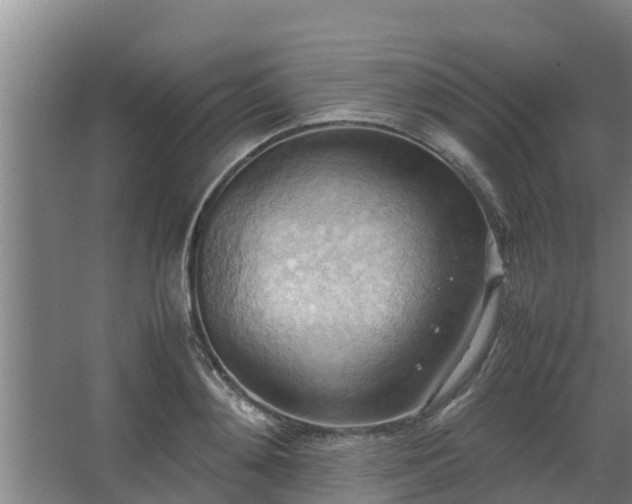 X0000064040892200602031554