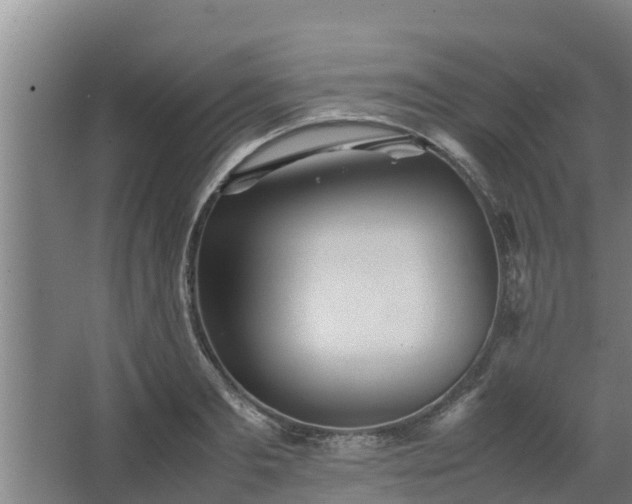 X0000064040893200602031554