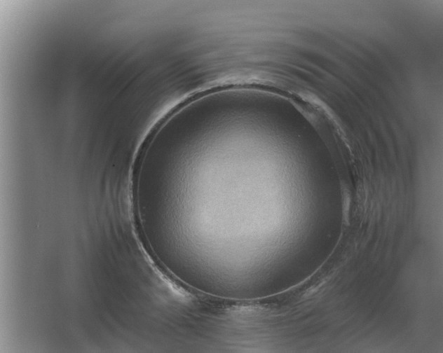 X0000064040894200602031554