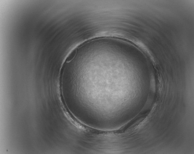 X0000064040896200602031554