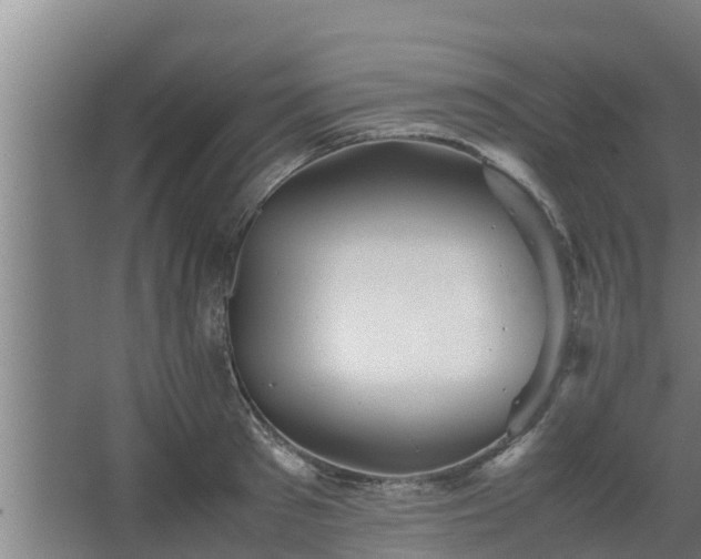 X0000064040897200602031554