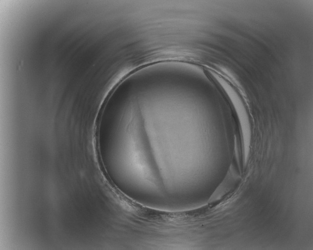 X0000064040899200602031554