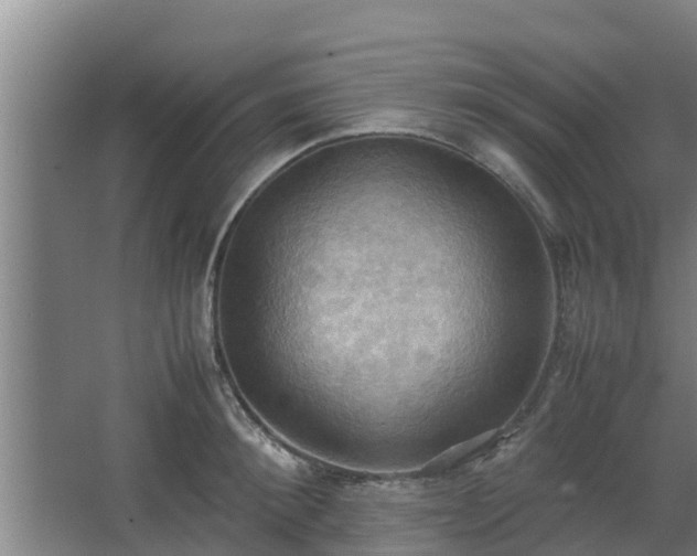 X0000064040900200602031554