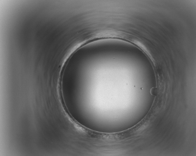 X0000064040901200602031554