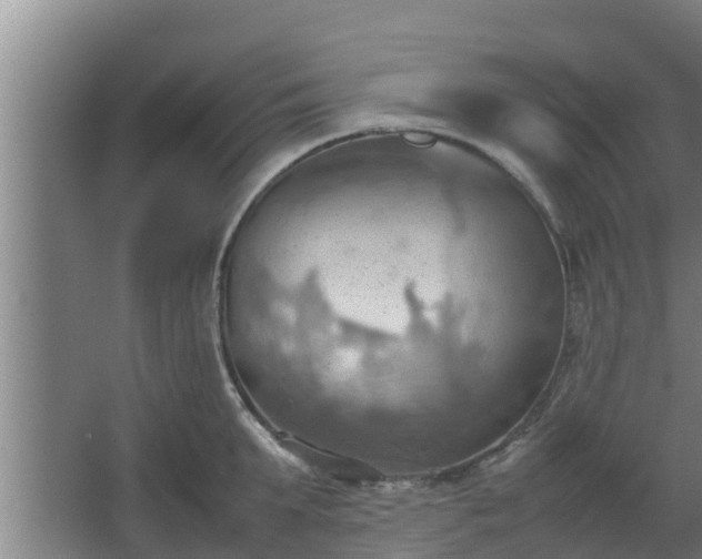 X0000064040903200602031554