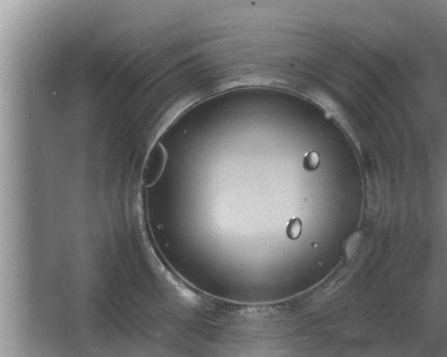 X0000064040906200602031554