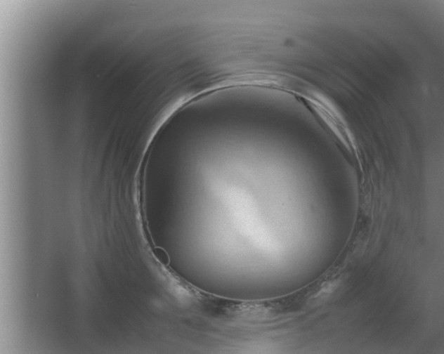 X0000064040907200602031554