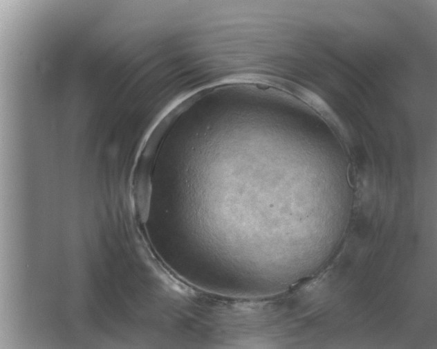 X0000064040908200602031554