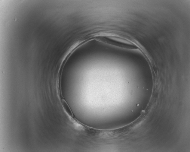 X0000064040909200602031554