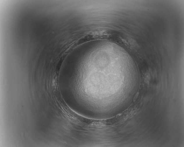 X0000064040914200602031553