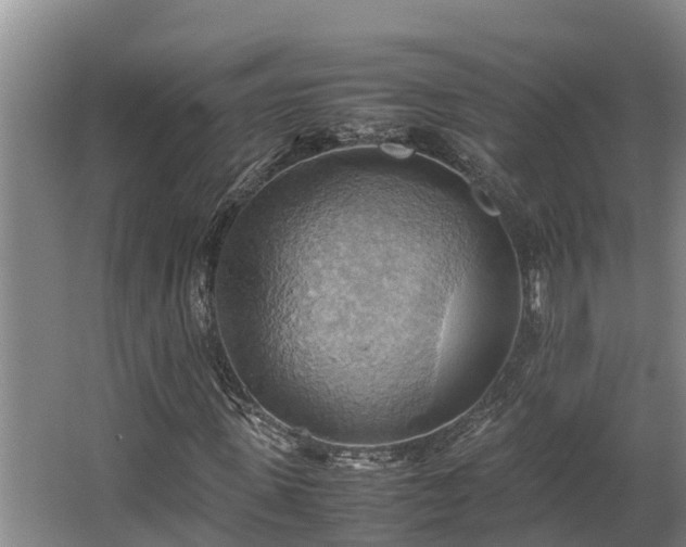 X0000064040915200602031553