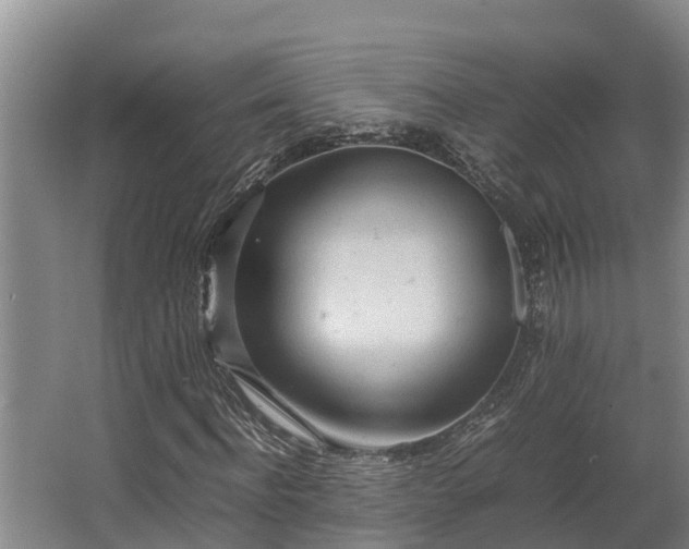 X0000064040916200602031553