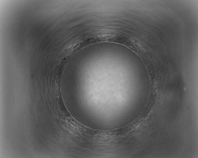 X0000064040917200602031553