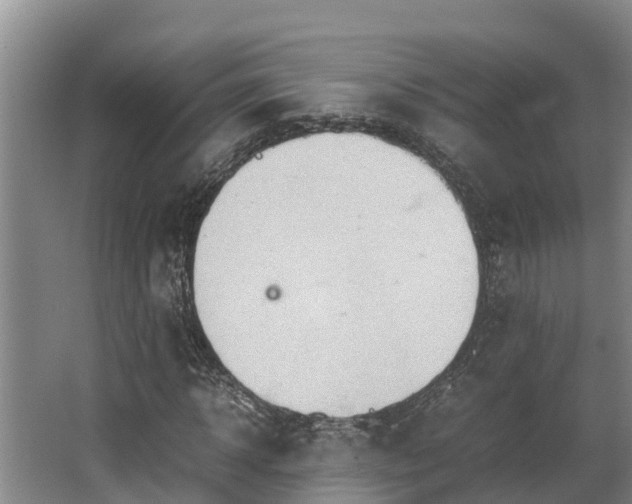 X0000064040918200602031553