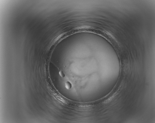 X0000064040921200602031553