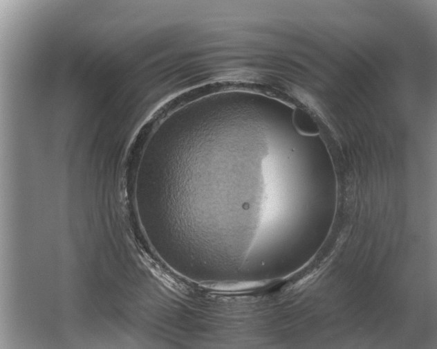 X0000064040923200602031553