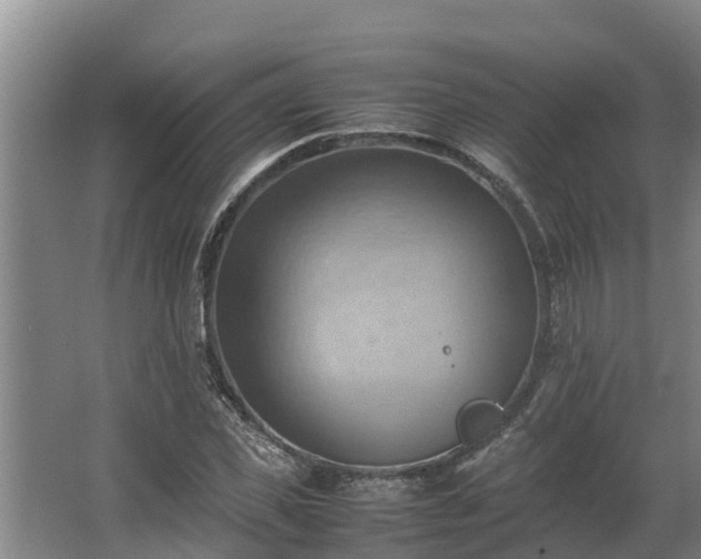 X0000064040925200602031553