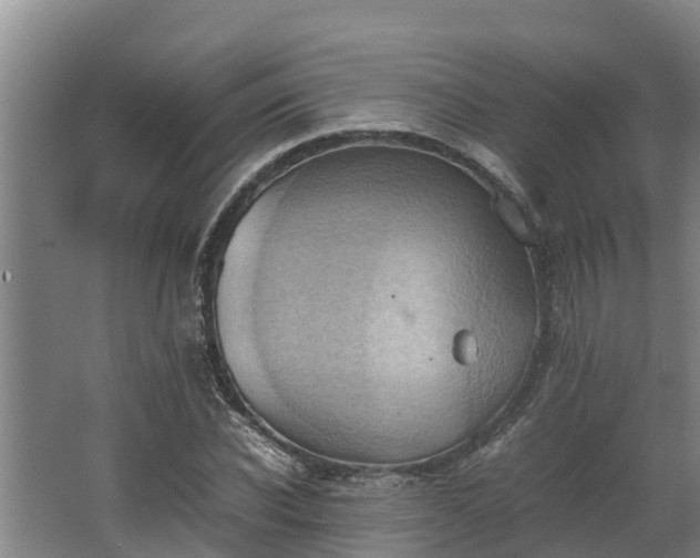 X0000064040926200602031553