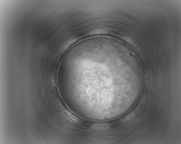 X0000064040929200602031554