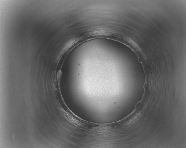 X0000064040930200602031554