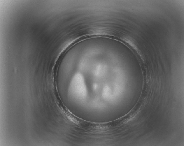 X0000064040933200602031554