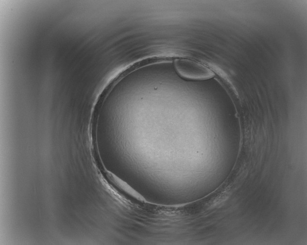 X0000064040935200602031554